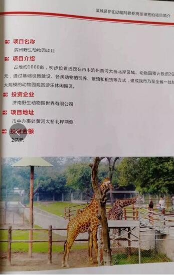 厲害了我的大濱州，15個(gè)招商引資項(xiàng)目集中簽約！