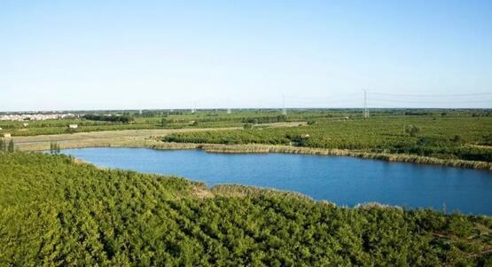 厲害了我的大濱州，15個(gè)招商引資項(xiàng)目集中簽約！